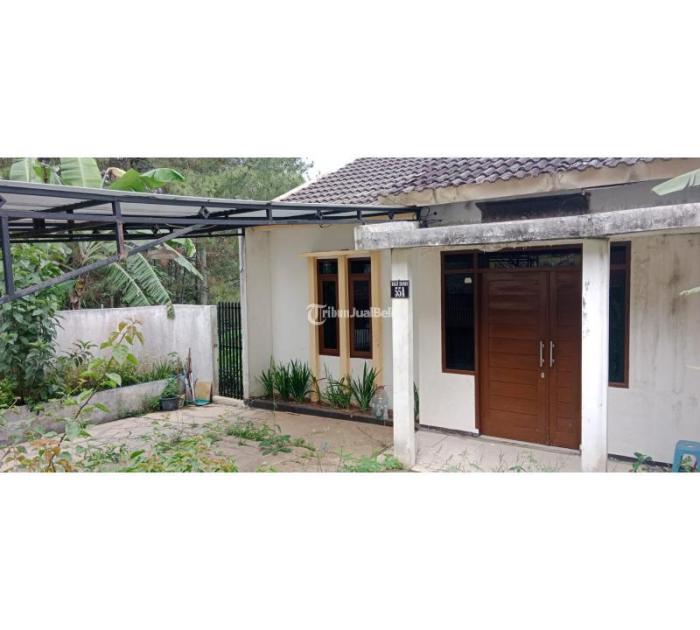 Rumah dijual murah dekat kampus
