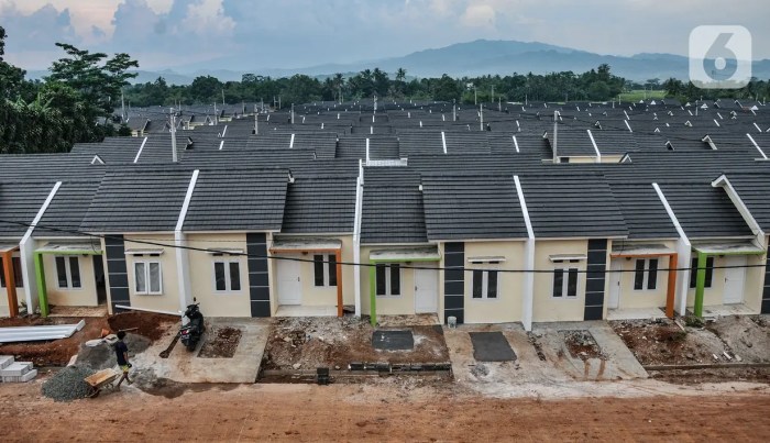 Program pemerintah untuk rumah terjangkau dan subsidi