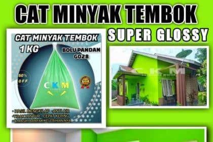 Cat rumah anti jamur dan lembab