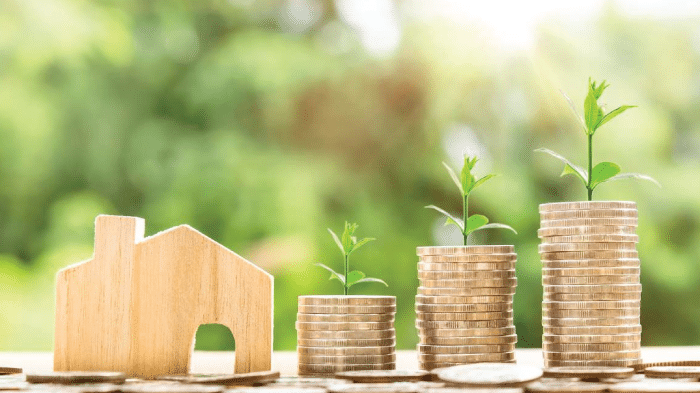 Investasi Properti di Perumahan
