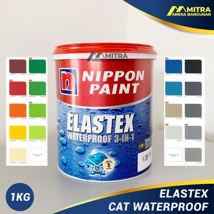 Cat rumah anti jamur dan lembab