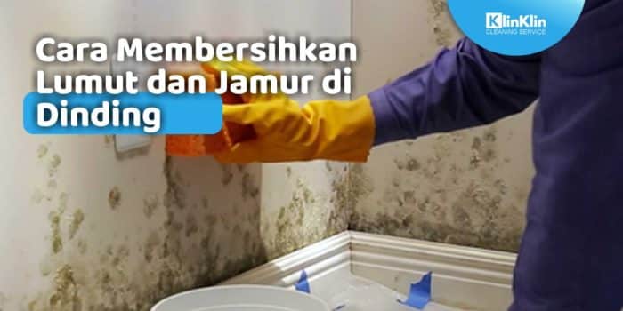 Cat rumah anti jamur dan lumut untuk mencegah kerusakan