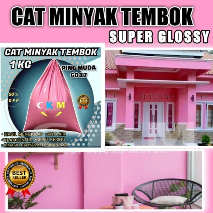 Cat rumah anti jamur dan lembab