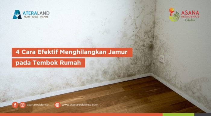 Cat rumah anti jamur dan lumut untuk mencegah kerusakan