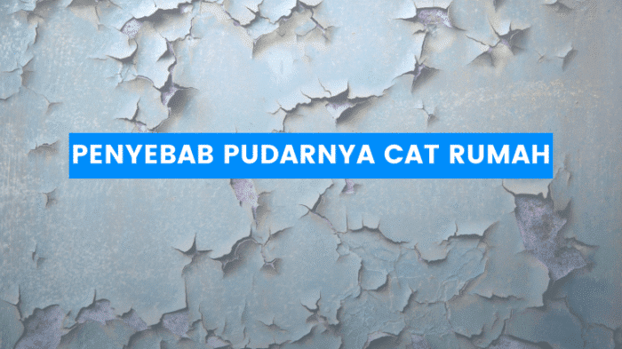 Cara membersihkan cat rumah yang sudah pudar dan kusam