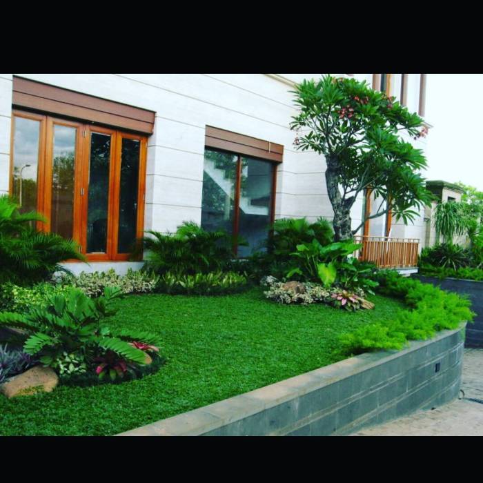 Taman rumah depan minimalis sempit lahan livedesain contoh ide menata