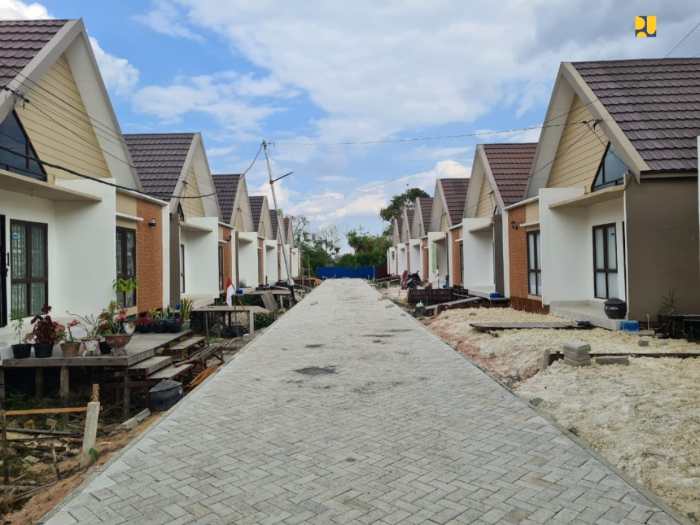 Manfaat matahari energi bagi hewan cahaya hidup makhluk