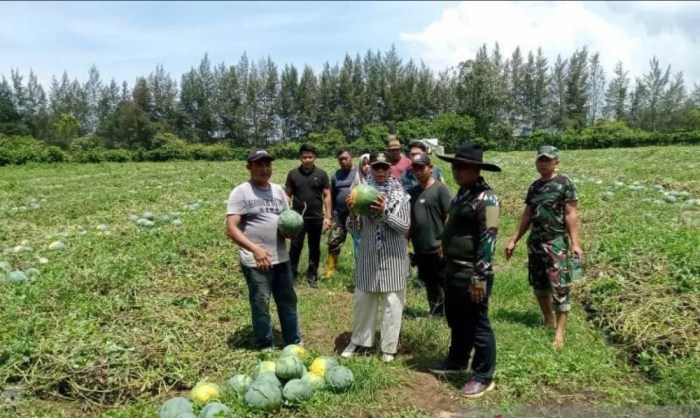 Contoh program komunitas warga dalam pengelolaan lingkungan perumahan