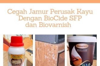 Cat rumah anti jamur dan lumut untuk mencegah kerusakan