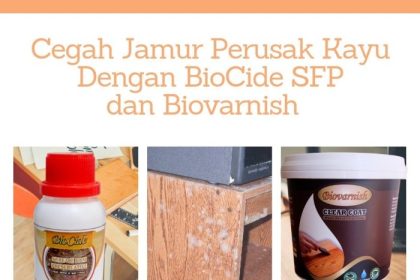 Cat rumah anti jamur dan lumut untuk mencegah kerusakan