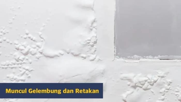 Perawatan cat rumah setelah pengecatan agar awet dan tahan lama