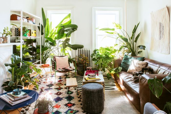 Ide dekorasi rumah dengan tanaman hias indoor terbaru