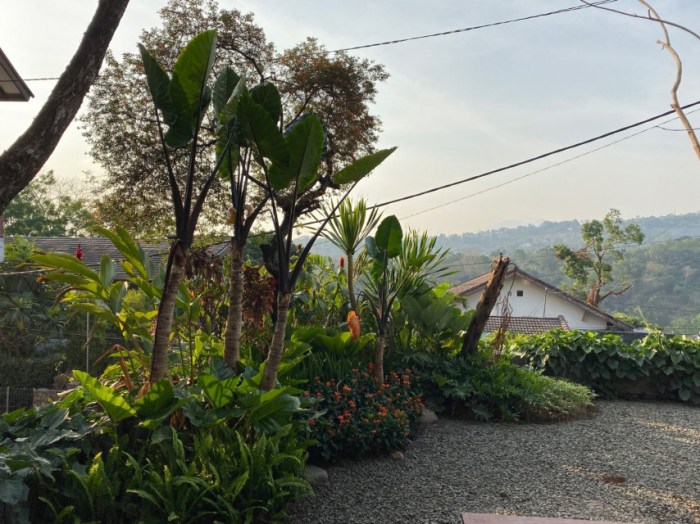 7 Tips Bagaimana Cara Merawat dan Penyegaran Taman Depan Rumah ...