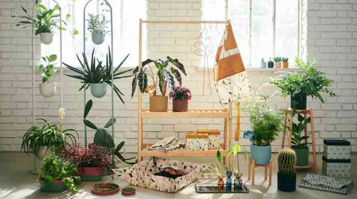 Ide dekorasi rumah dengan tanaman hias indoor terbaru