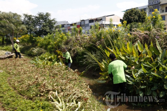 Tips merawat taman dan ruang hijau di lingkungan perumahan