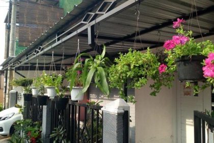 Ide dekorasi rumah dengan tanaman hias indoor terbaru