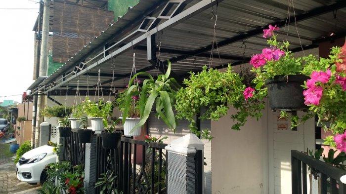 Ide dekorasi rumah dengan tanaman hias indoor terbaru